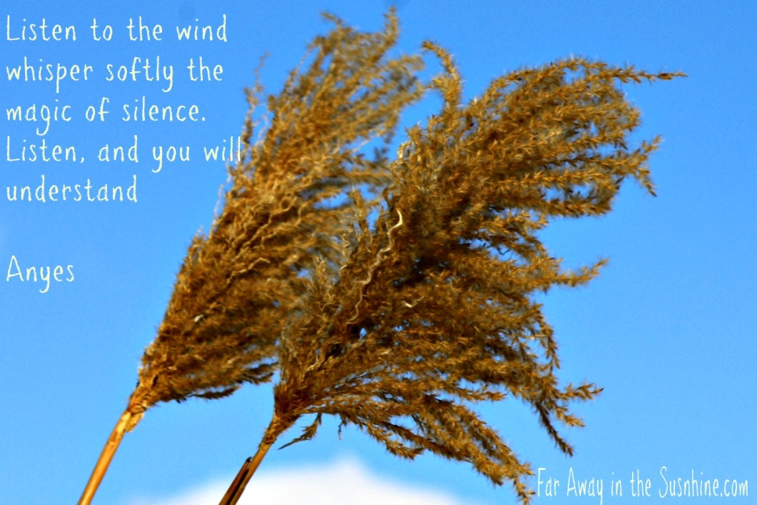 Blowing in the Wind